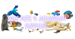 Sale pets & aquarium supplies