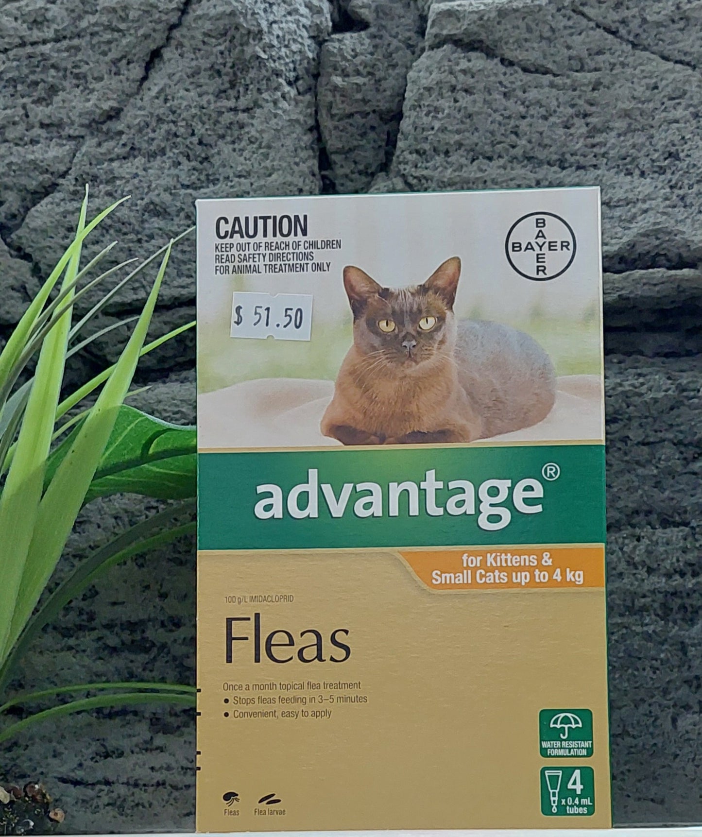 Advantage cat fleas