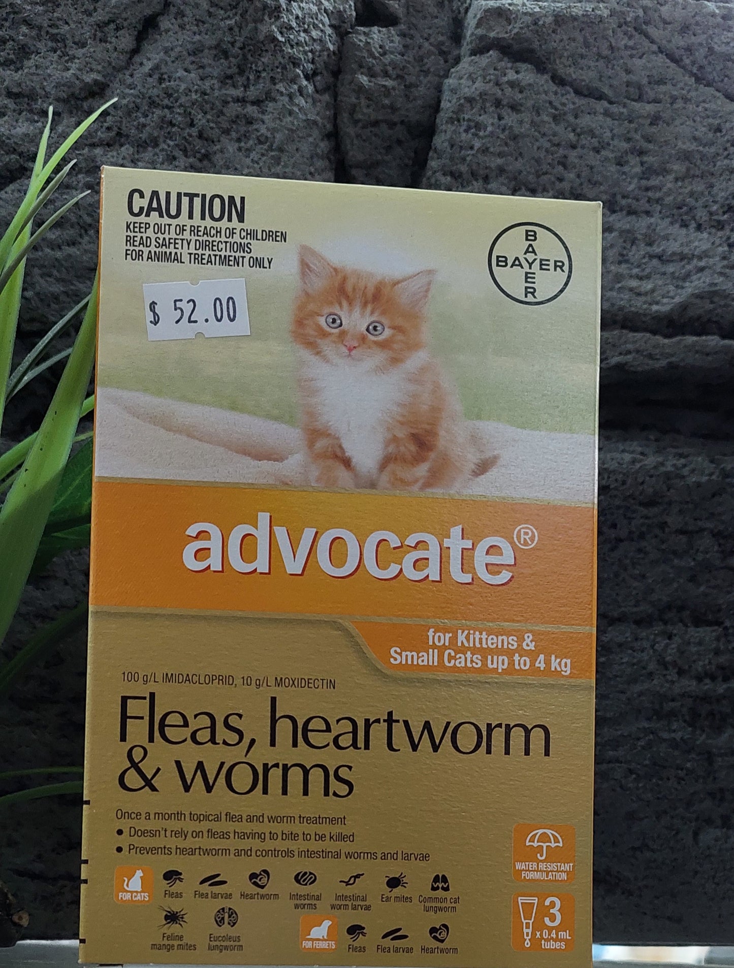 Advocate cat fleas heartworm and worms