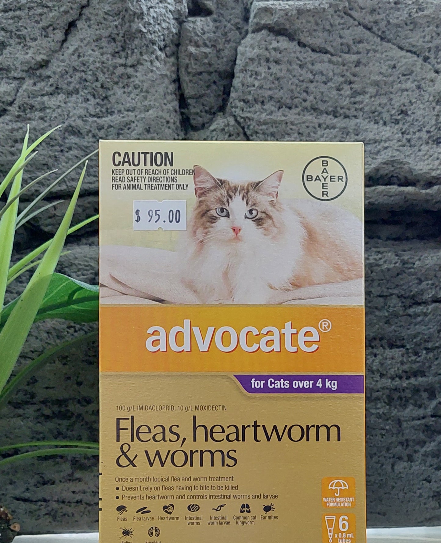 Advocate cat fleas heartworm and worms