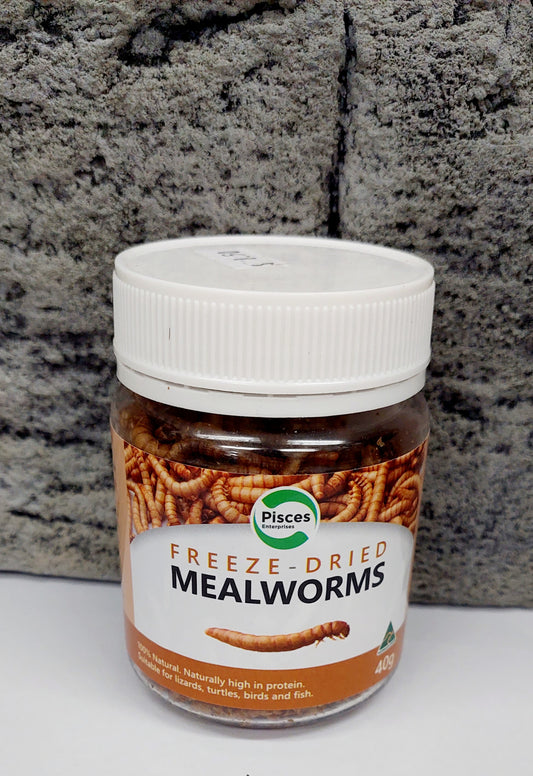 Pisces freeze dried mealworms 40g